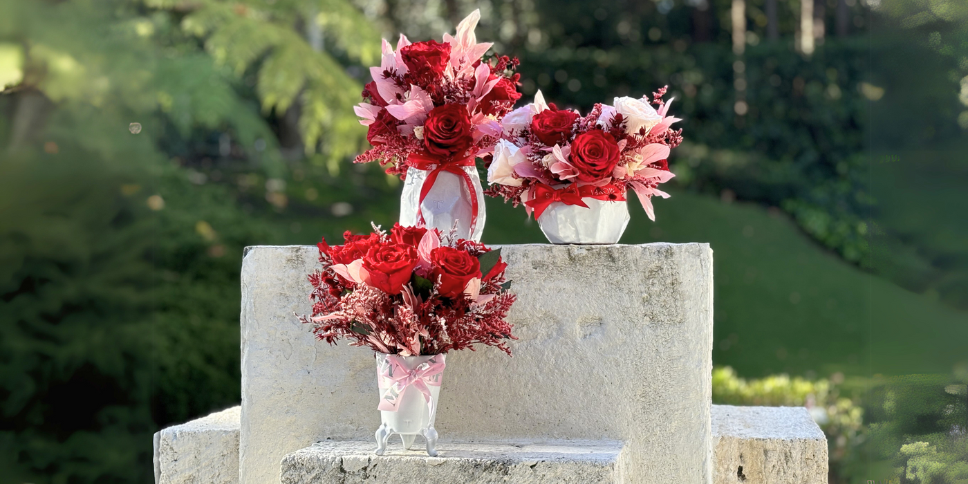 Valentine's Collection