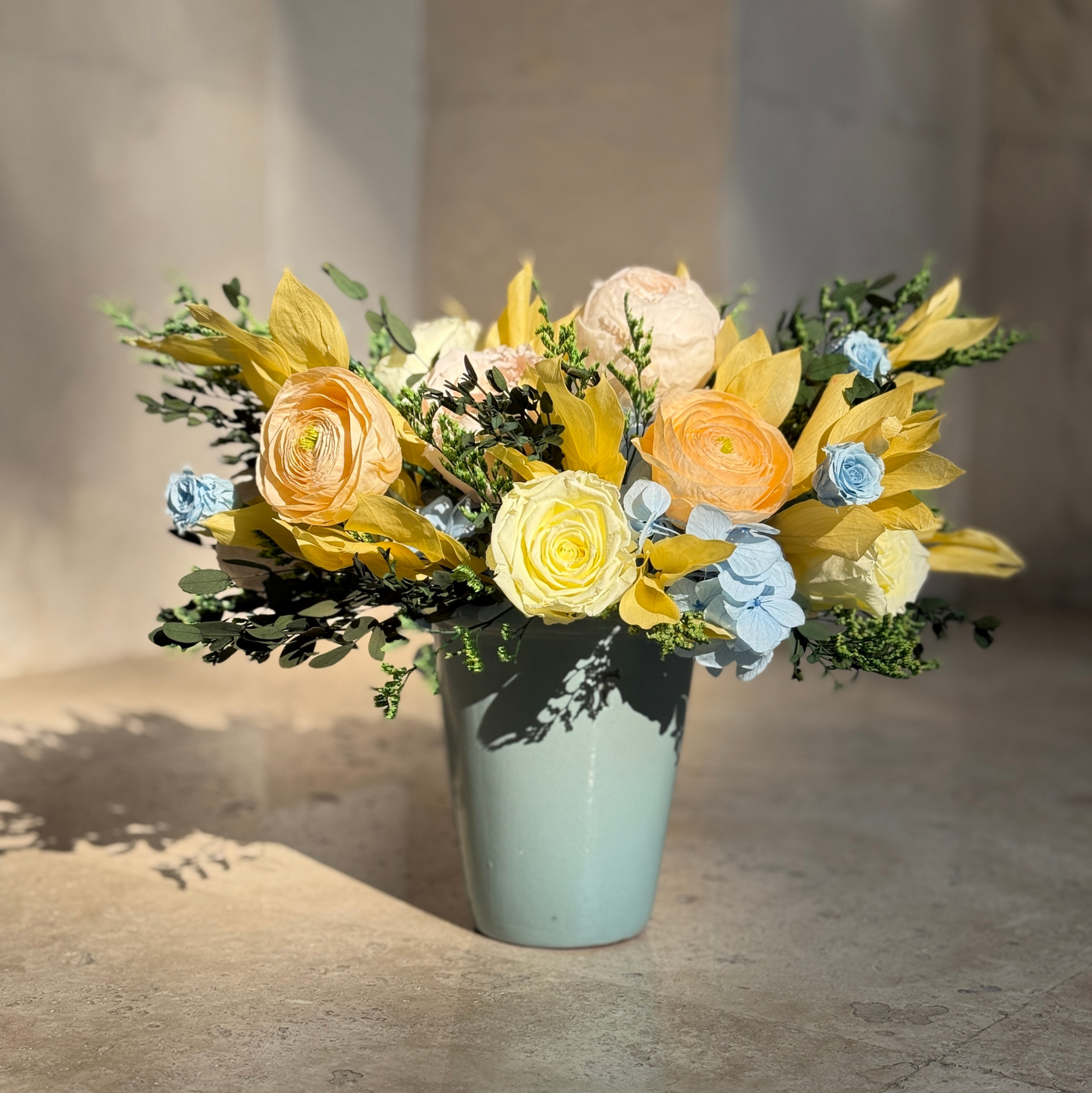 Spring Limited Edition