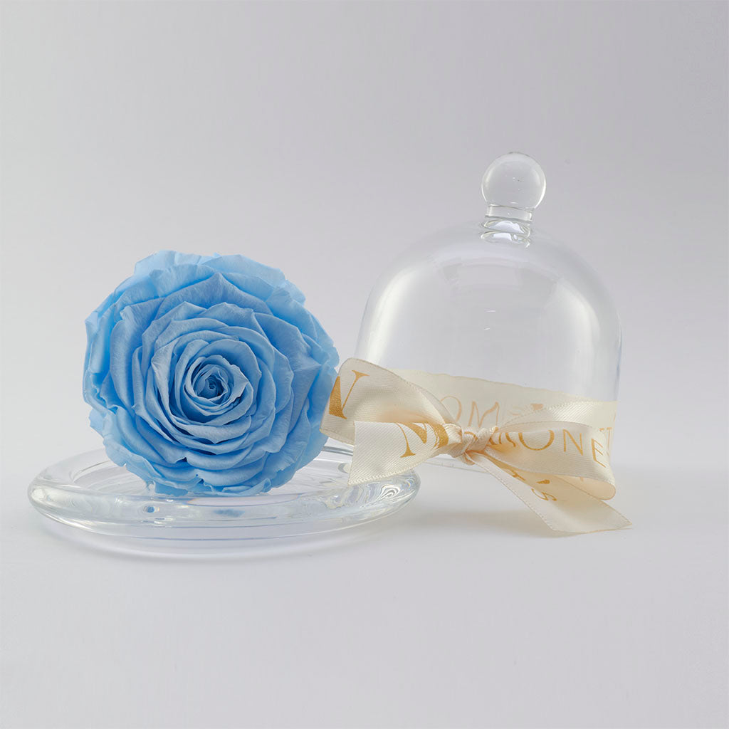 Mini Cinderella