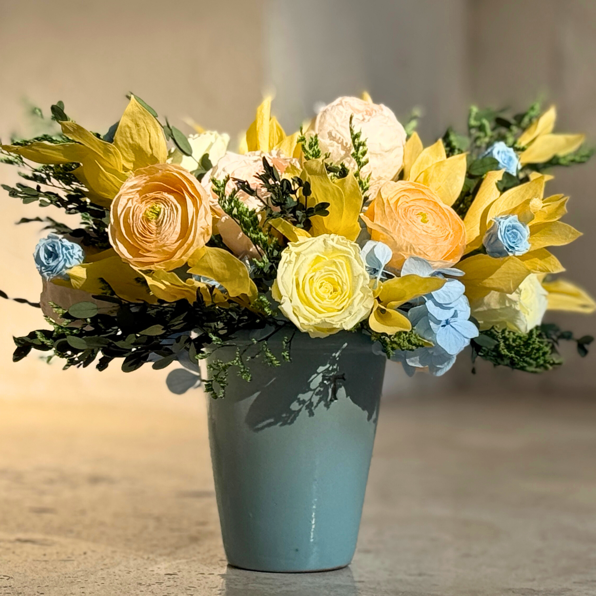 Marceline - Edición Limitada