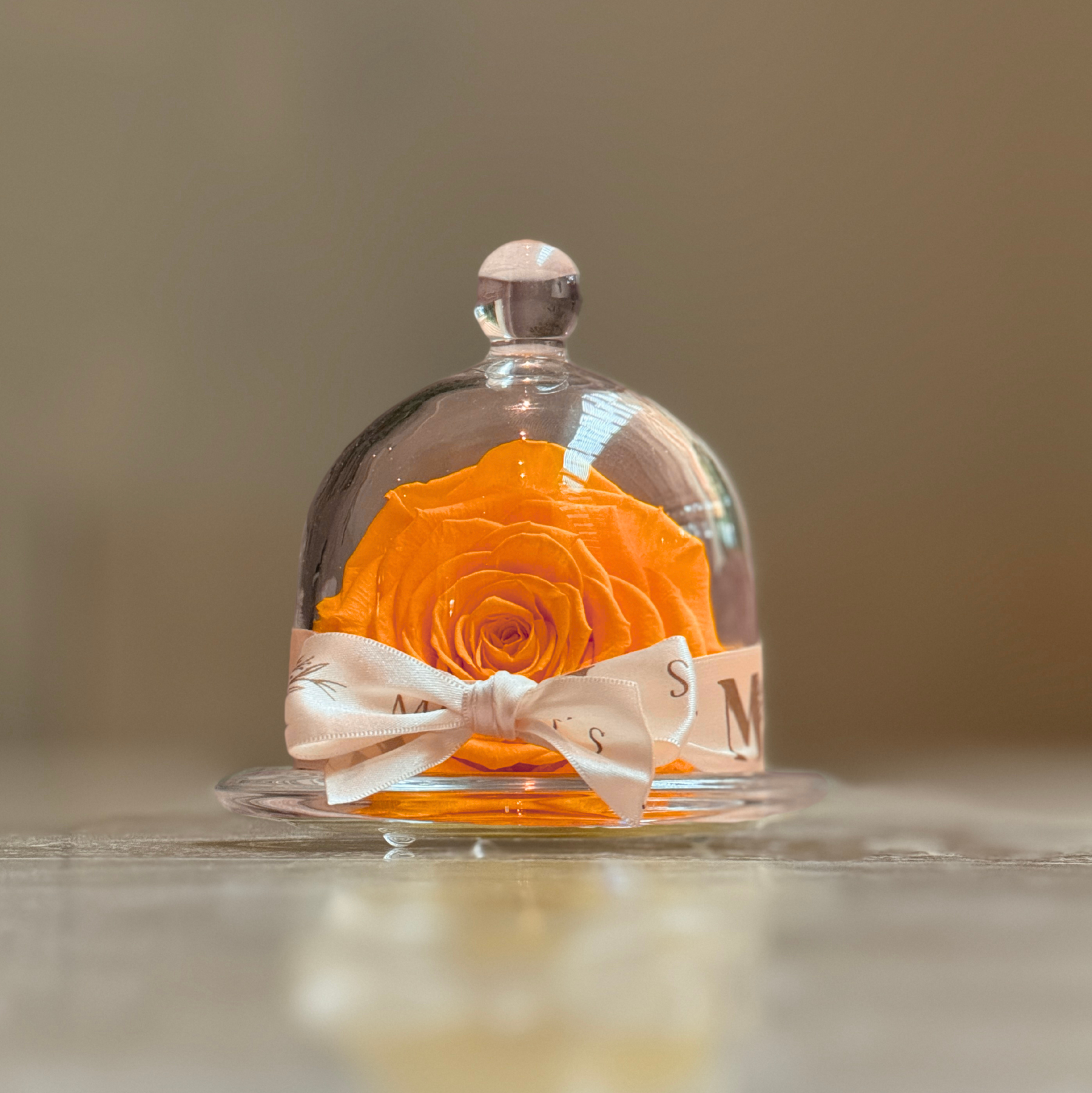 Mini Cinderella