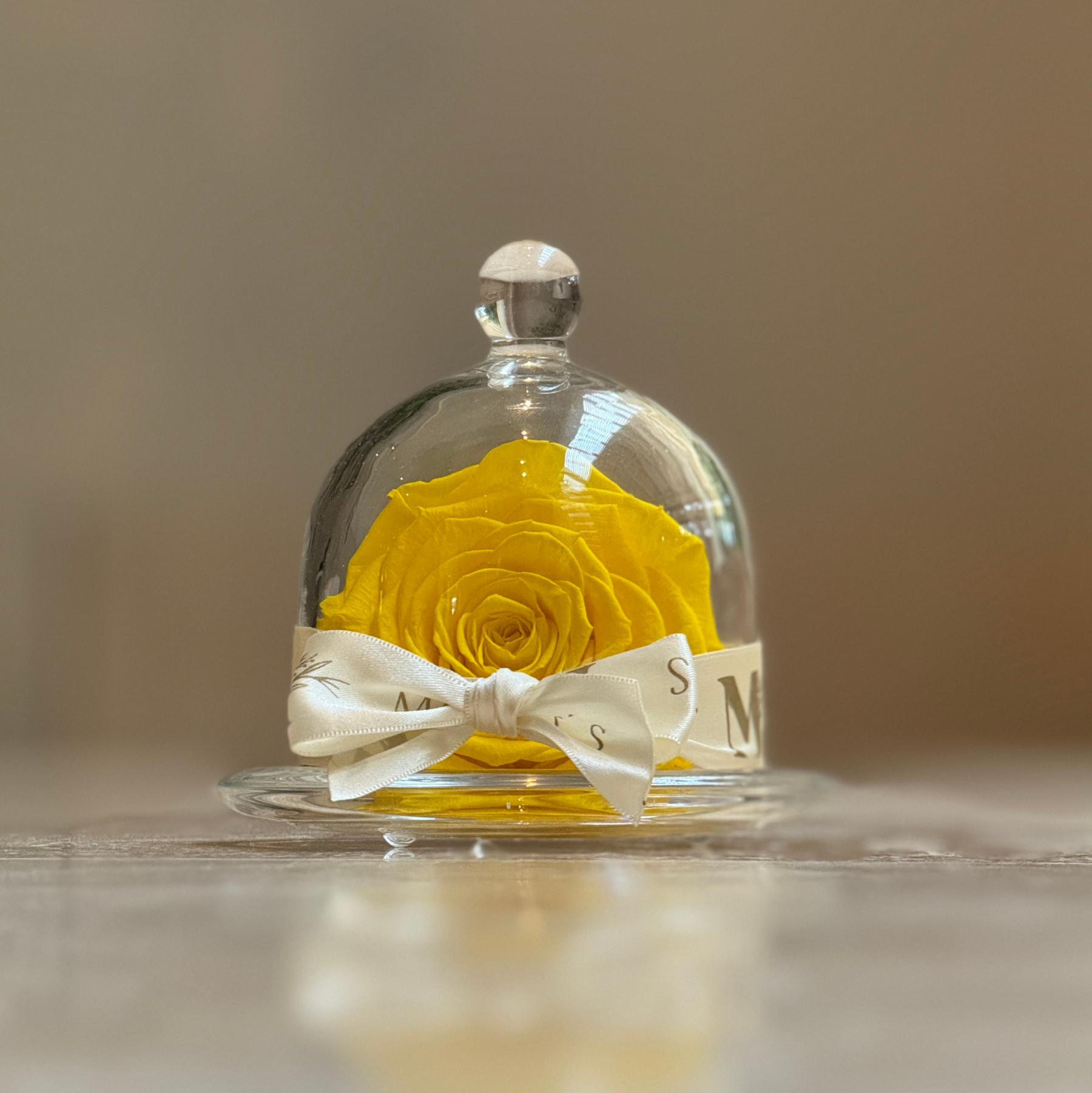 Mini Cinderella