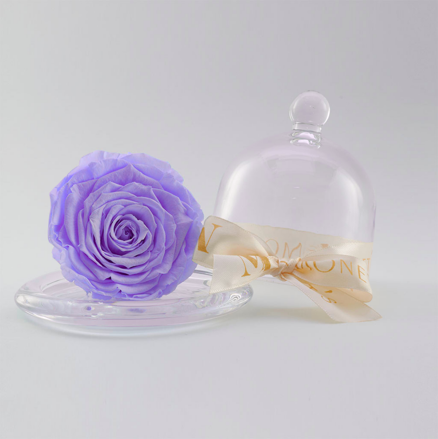 Mini Cinderella