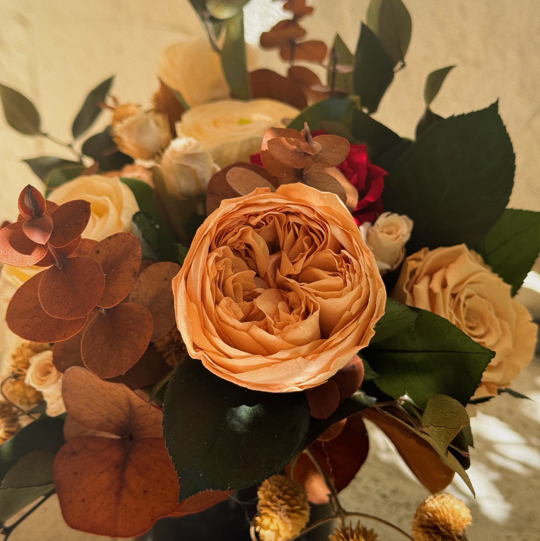 Mini Myra Foliage