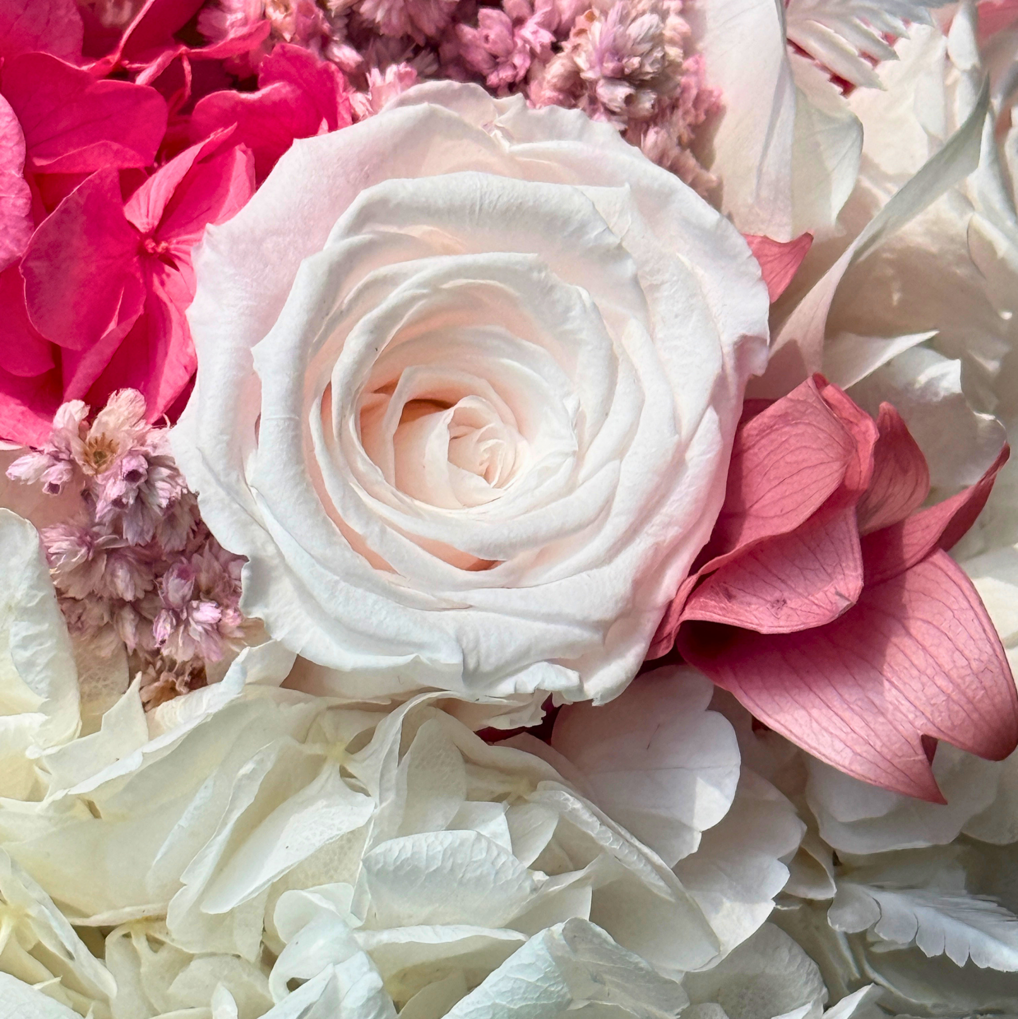 Rosalie | Mother’s Day Edition