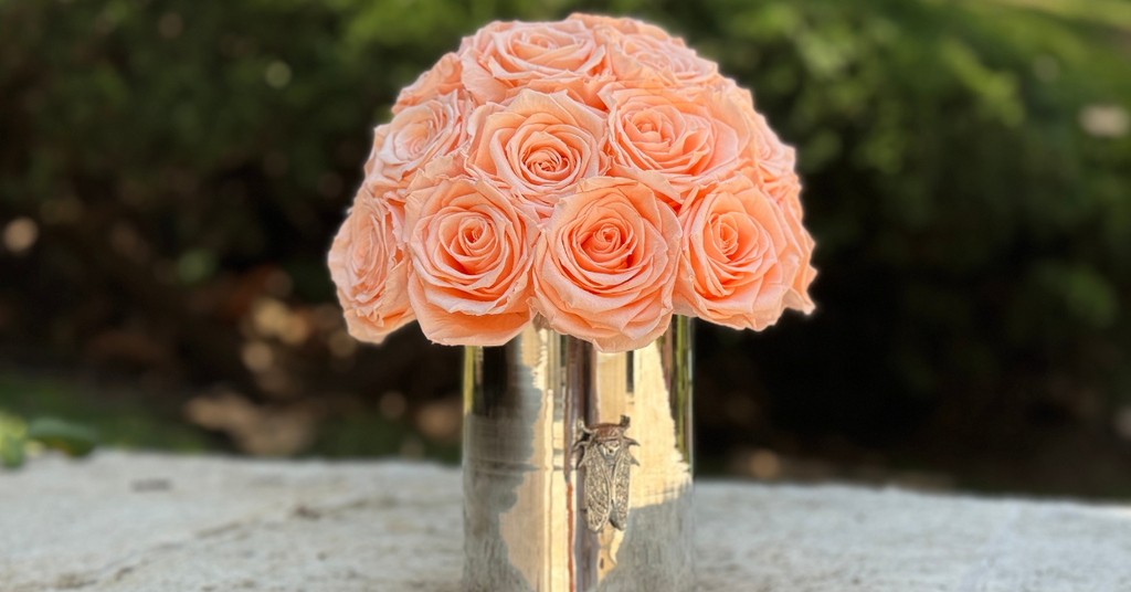 Monet's, rosas naturales que duran 1 año.