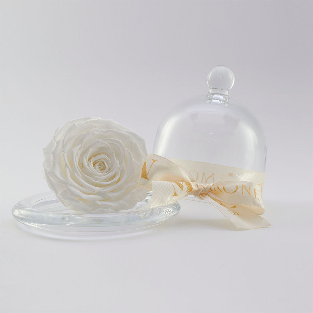 Mini Cinderella