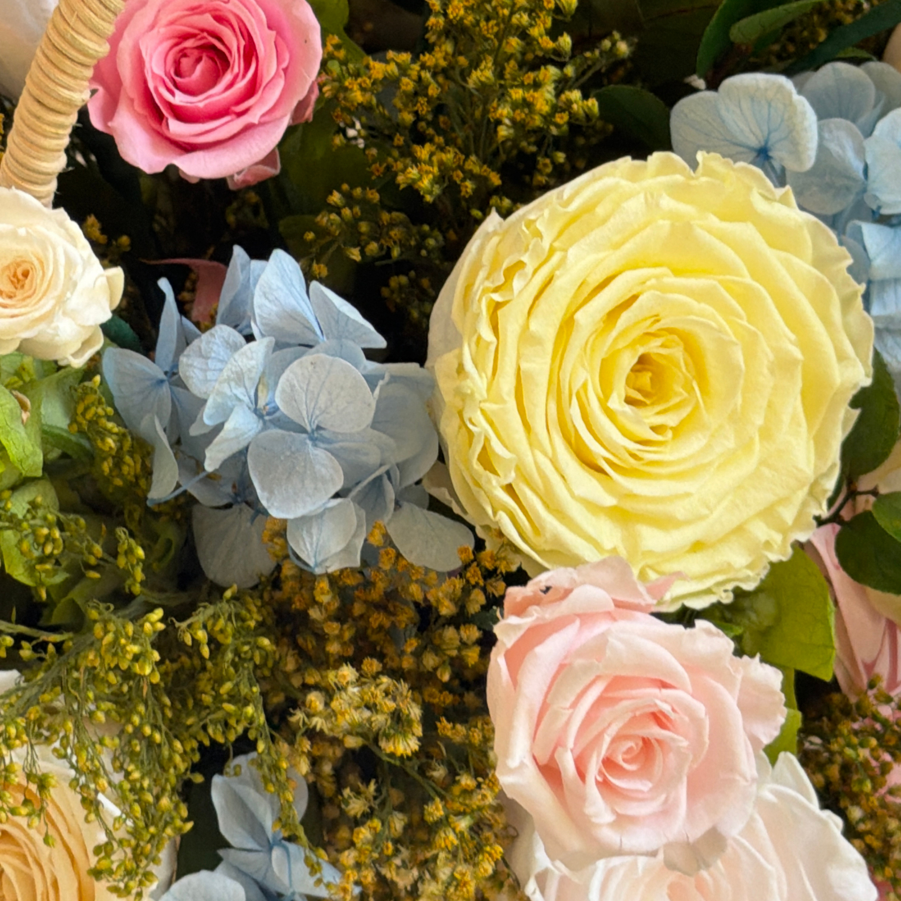 Camille "Giverny" – Fleur | Edición Especial