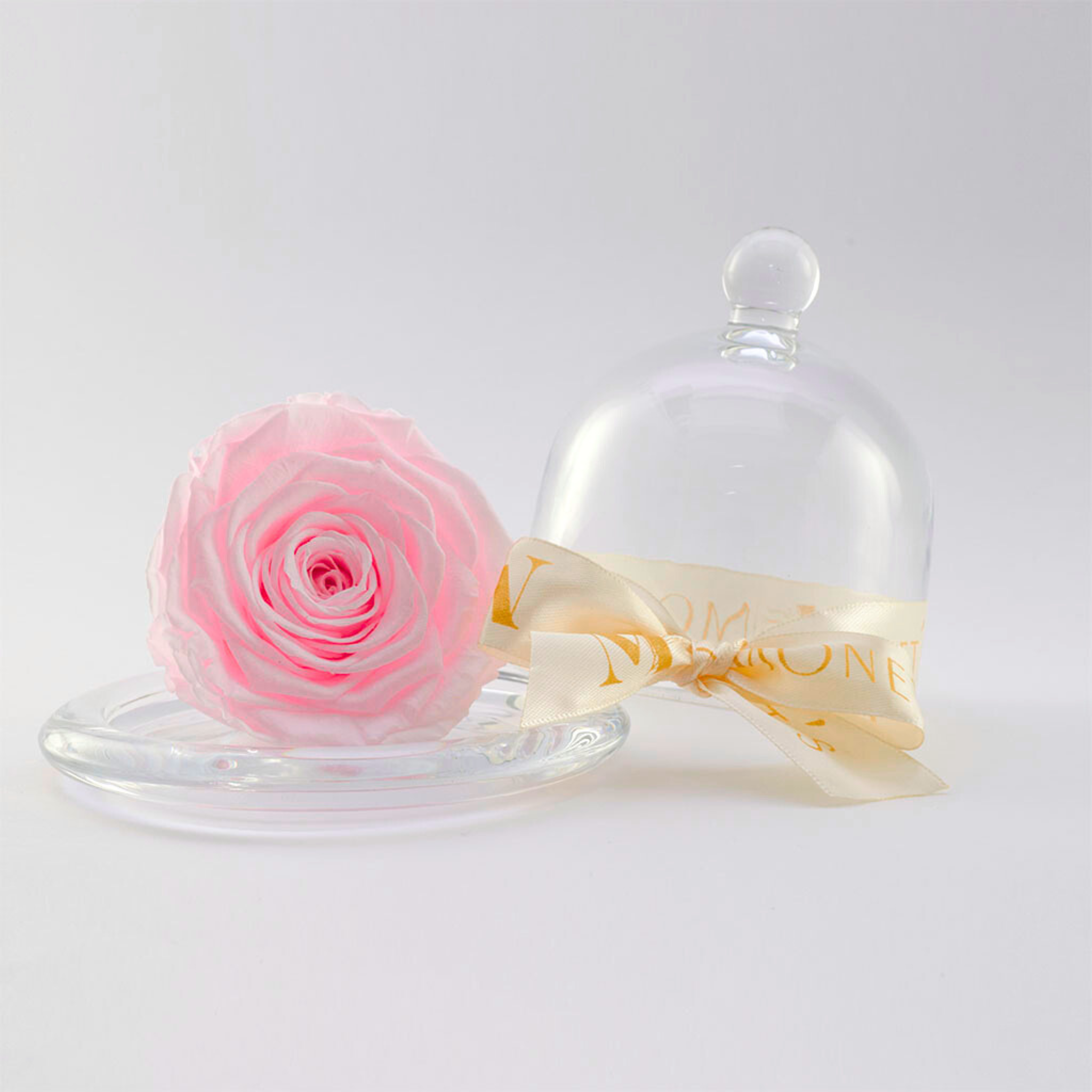 Mini Cinderella