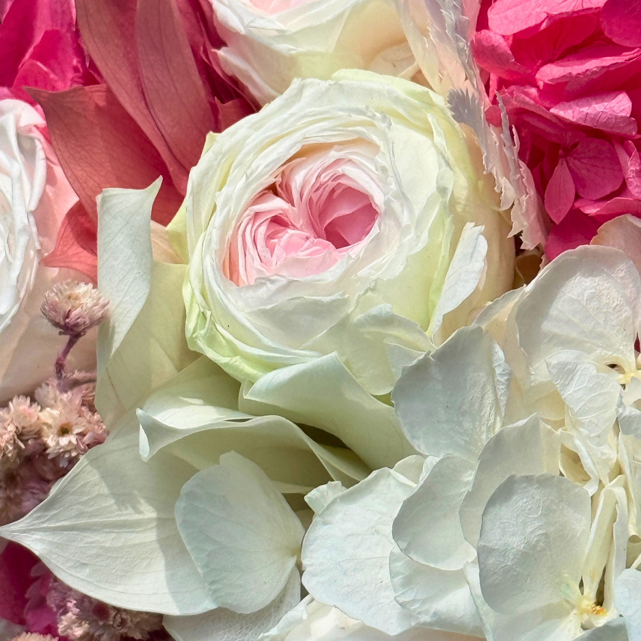 Rosalie | Mother’s Day Edition